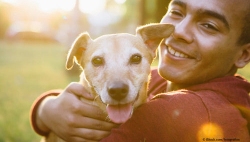 Dogs in Islam