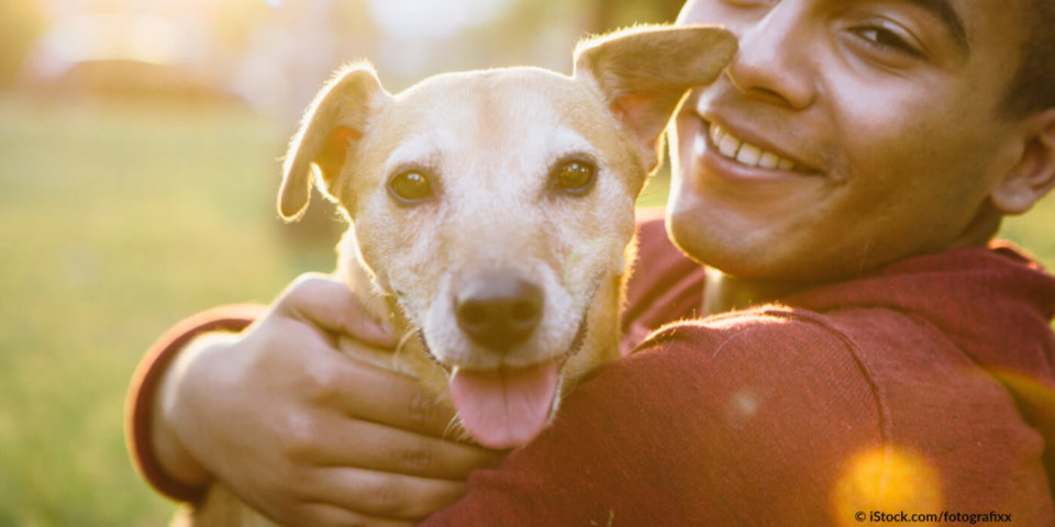 Dogs in Islam