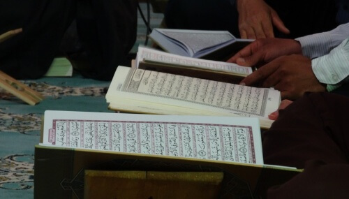 Islamic Teaching of Concerns for Animals