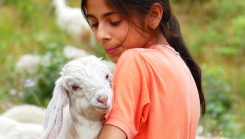 Peace and Compassion on Eid al-Fitr