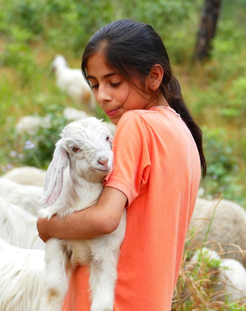 Child holding lamb